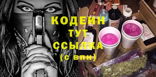 ПСИЛОЦИБИНОВЫЕ ГРИБЫ Гусев