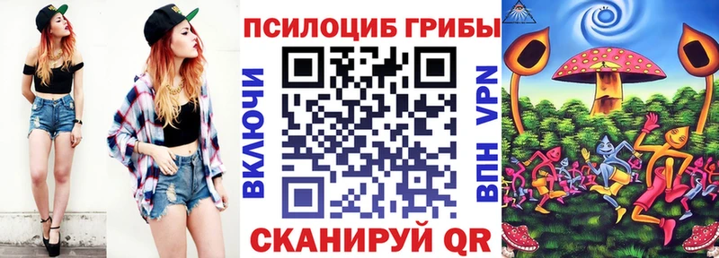 Галлюциногенные грибы прущие грибы  blacksprut ССЫЛКА  Елизово 