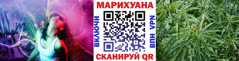 Шишки марихуана VHQ  как найти наркотики  ссылка на мегу онион  Елизово 